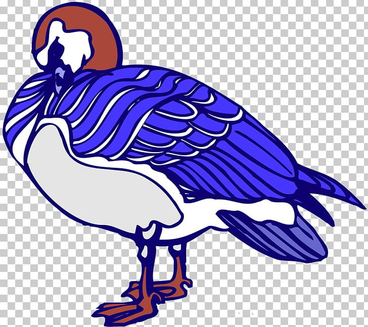 Beak Water Bird Cobalt Blue Vulture PNG, Clipart, Animals, Artwork, Beak, Bird, Bird Vector Free PNG Download