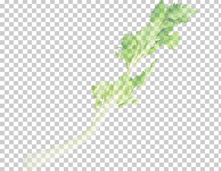 Chard Kagome カゴメ・野菜生活100 Vegetable Juice Spring Greens PNG, Clipart, Celery, Chard, Drinking, Family, Food Free PNG Download