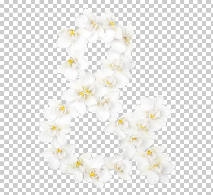 ST.AU.150 MIN.V.UNC.NR AD Moth Orchids Floral Design Estonia Flower PNG, Clipart, Blossom, Branch, Cherry Blossom, Creativity, Cucumber Free PNG Download