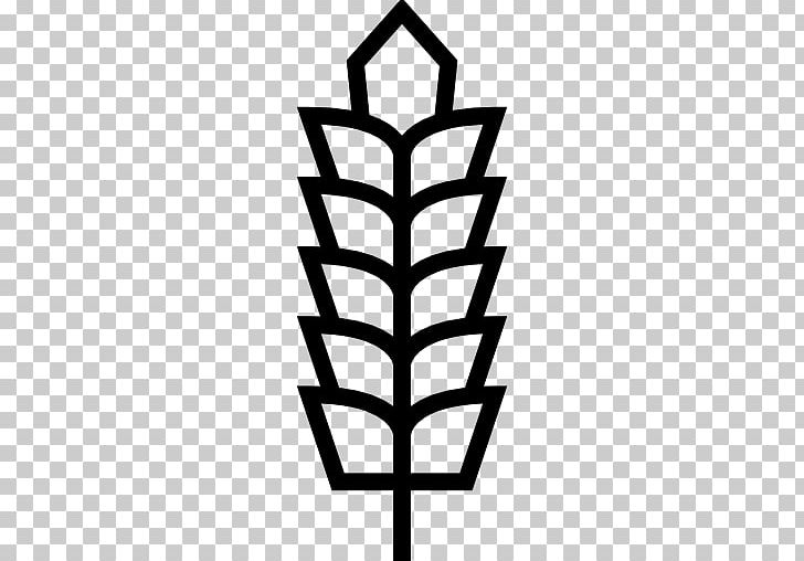 Computer Icons Common Wheat PNG, Clipart, Agriculture, Angle, Black And White, Cereal, Common Wheat Free PNG Download