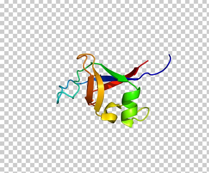 PIK3R2 Phosphoinositide 3-kinase Protein Kinase FYN PNG, Clipart, 3 R, Area, Cbl, Gene, Gpr56 Free PNG Download