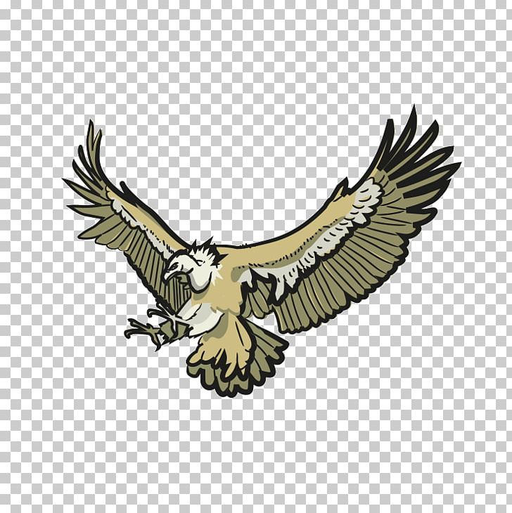 Bald Eagle Owl Hawk Buzzard PNG, Clipart, Accipitriformes, Animals, Bald Eagle, Beak, Bird Free PNG Download
