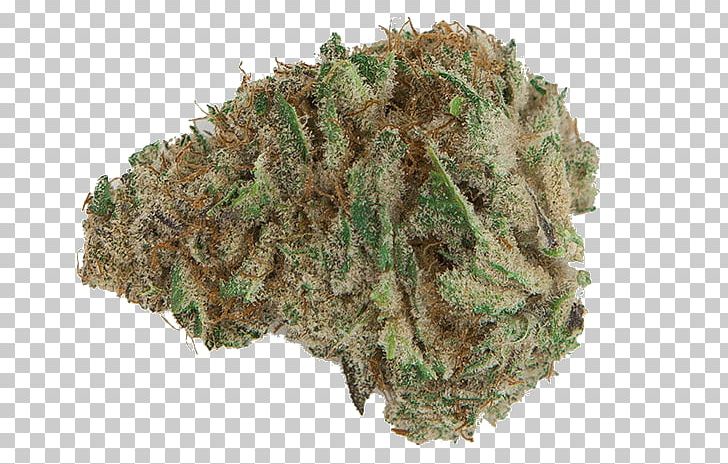 Cannabis Kush Universal Herbs Bud Nugg: Medical Marijuana Delivery PNG, Clipart, Blackberry, Bud, Cannabis, Denver, Flower Free PNG Download