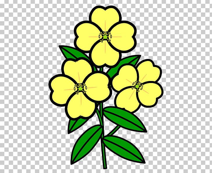 Floral Design White Evening Primrose Flower Plant PNG, Clipart, Artwork, Black And White, Character, Coloring Book, Cut Flowers Free PNG Download