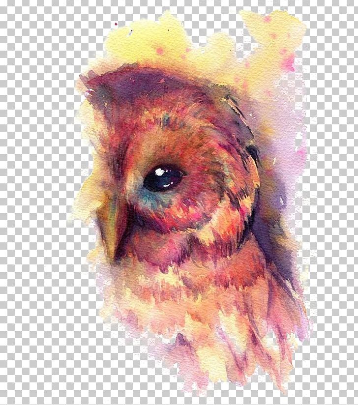 Owl Bird Watercolor Painting Art PNG, Clipart, Animals, Art, Art Museum, Beak, Bird Cage Free PNG Download