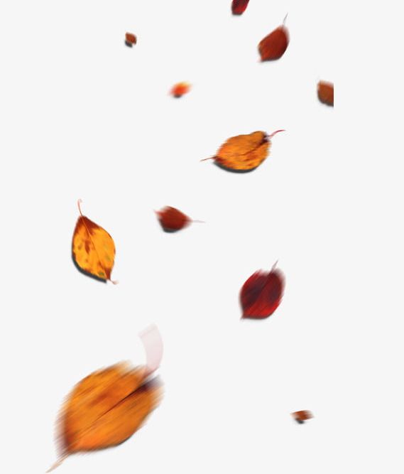 Falling Leaves Fall PNG, Clipart, Deciduous, Deciduous Leaves, Drift, Drift Off, Fall Free PNG Download