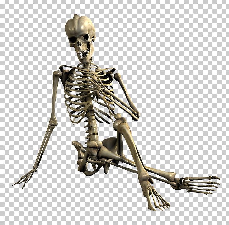Human Skeleton Skull Bone PNG, Clipart, Bone, Drawing, Fantasy, Figurine, Human Skeleton Free PNG Download