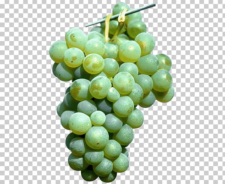 Sultana Common Grape Vine Seedless Fruit Grape Seed Extract PNG, Clipart, Amazon Grape, Blue, Color, Common Grape Vine, Cultivar Free PNG Download
