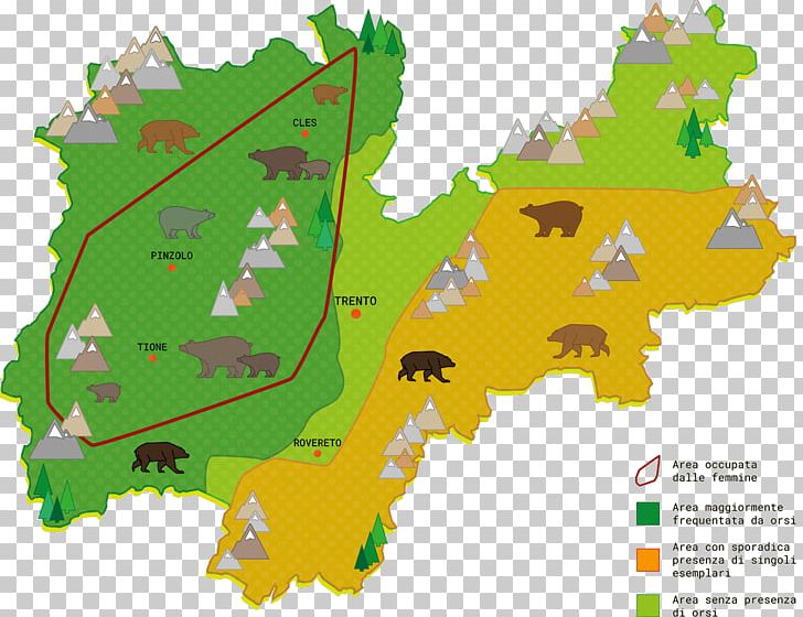 Trento Brown Bear Samone PNG, Clipart, Animals, Area, Bear, Brown Bear, Burrow Free PNG Download