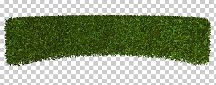 Hedge Lawn Artificial Turf Rectangle PNG, Clipart, Artificial Turf, Background Green, Grass, Grasses, Green Free PNG Download