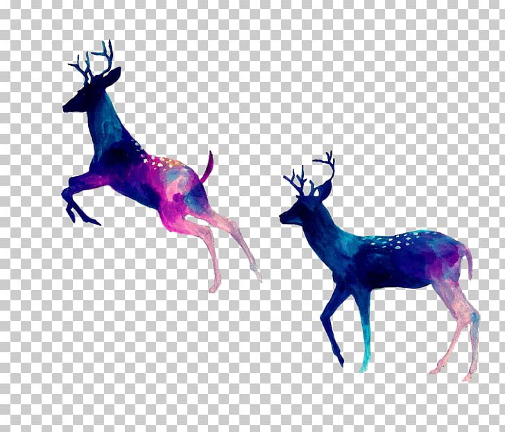 Reindeer Drawing Watercolor Painting PNG, Clipart, Animals, Antler, Art, Christmas Deer, Deer Free PNG Download