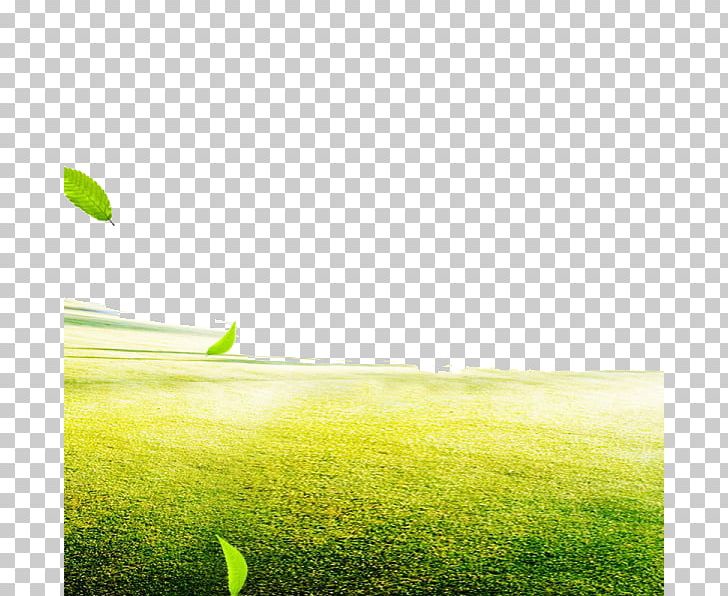 Tmall Price E-commerce Taobao AliExpress PNG, Clipart, Advertising, Aliexpress, Artificial Grass, Background, Brand Free PNG Download