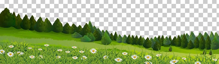 Lawn PNG, Clipart, Biome, Clipart, Computer Icons, Desktop Wallpaper, Ecosystem Free PNG Download