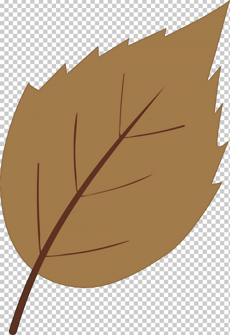 Leaf Brown Tree Plant Woody Plant PNG, Clipart, Brown, Leaf, Plant, Tree, Watercolor Leaf Free PNG Download