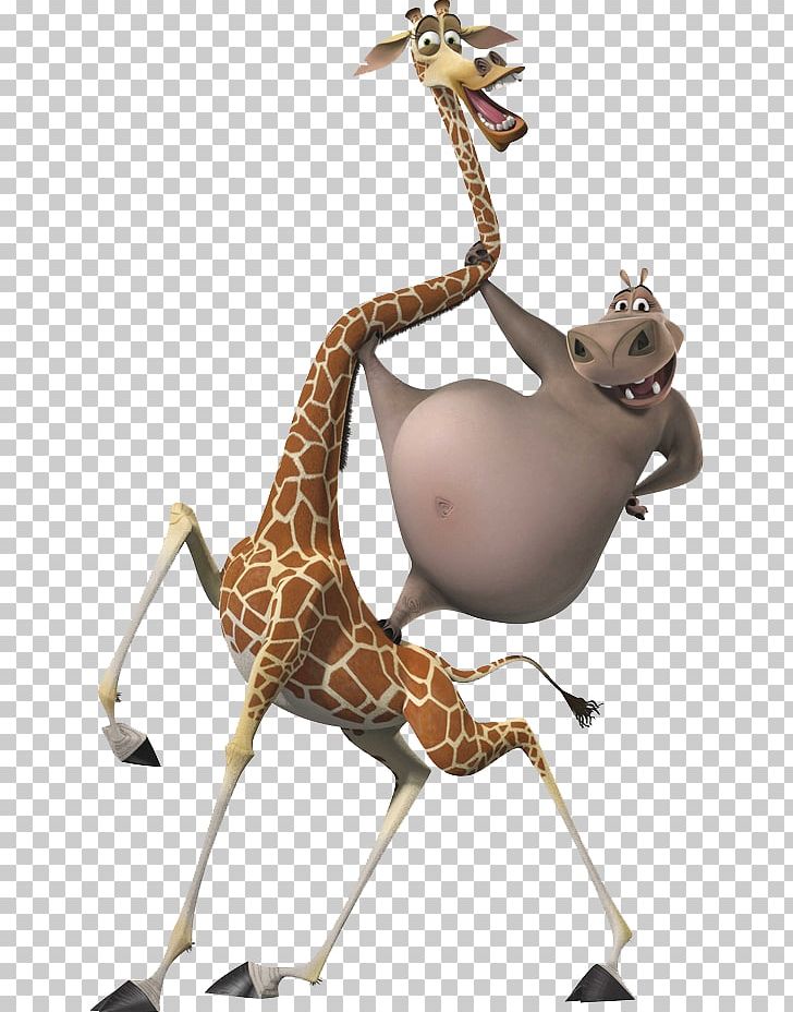 Gloria Melman Alex Giraffe Madagascar PNG, Clipart,  Free PNG Download