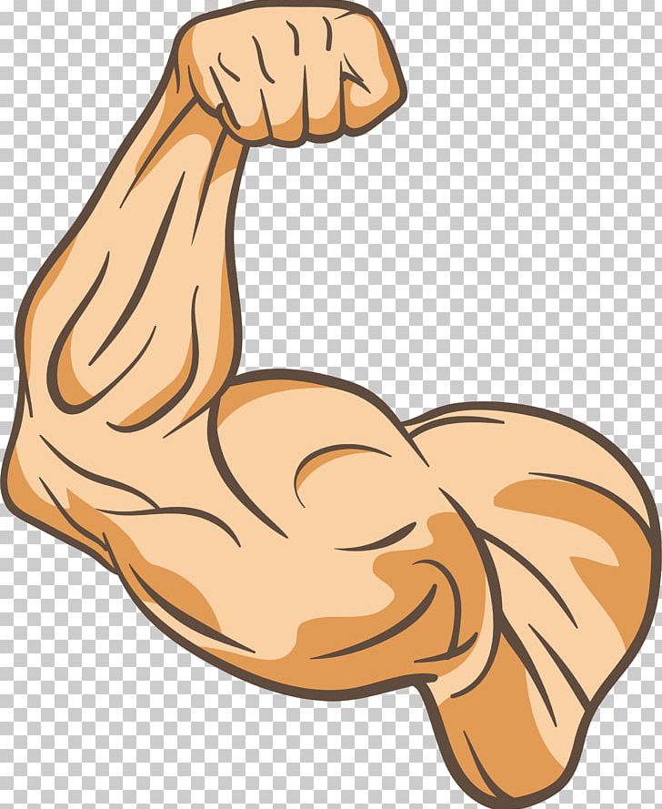 Muscle Physical Fitness Thumb PNG, Clipart, Arm, Armed, Armed Forces, Arms, Arm Vector Free PNG Download