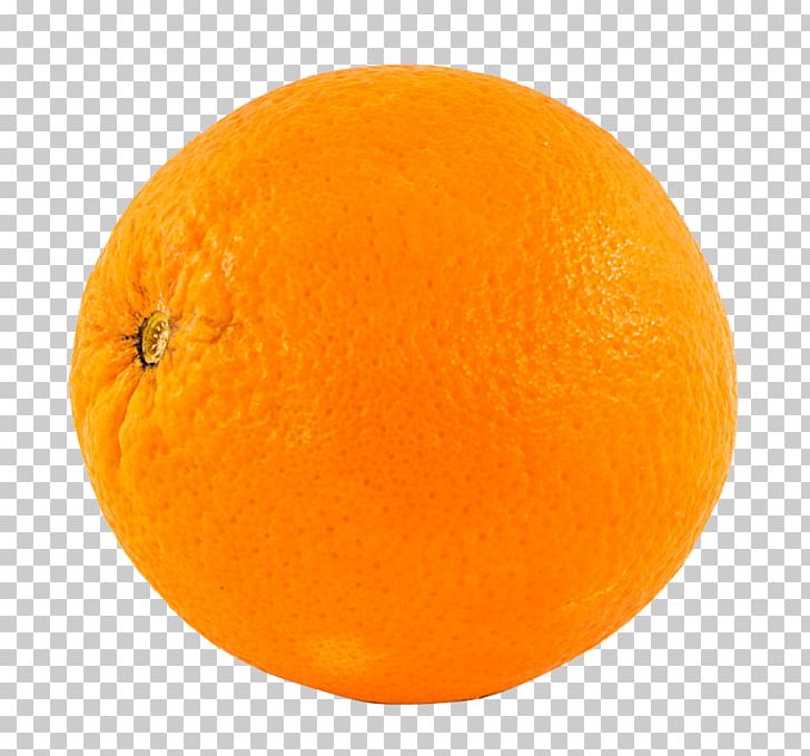 Orange Stock.xchng Portable Network Graphics Fruit PNG, Clipart, Bitter Orange, Citrus, Citrus Sinensis, Clementine, Desktop Wallpaper Free PNG Download