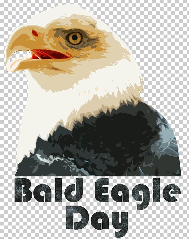Eagle Vulture Beak Brand PNG, Clipart, Accipitriformes, Animals, Beak, Bird, Bird Of Prey Free PNG Download