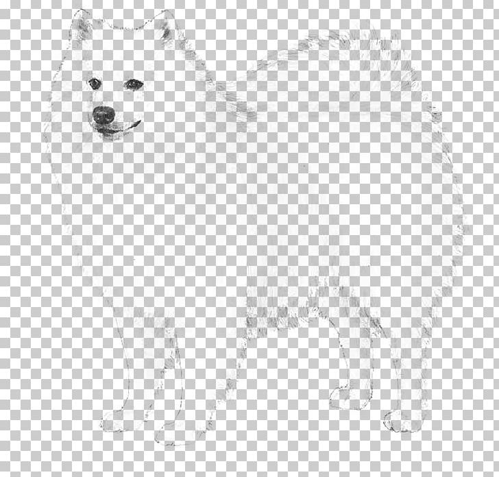 German Spitz Mittel German Spitz Klein American Eskimo Dog Japanese Spitz Finnish Spitz PNG, Clipart, Black And White, Carnivoran, Companion Dog, Dog Breed, Dog Breed Group Free PNG Download