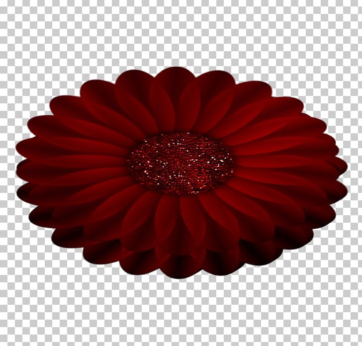 Transvaal Daisy Cut Flowers Chrysanthemum Bicycle PNG, Clipart, 6061 Aluminium Alloy, Bench, Bicycle, Chrysanthemum, Cut Flowers Free PNG Download