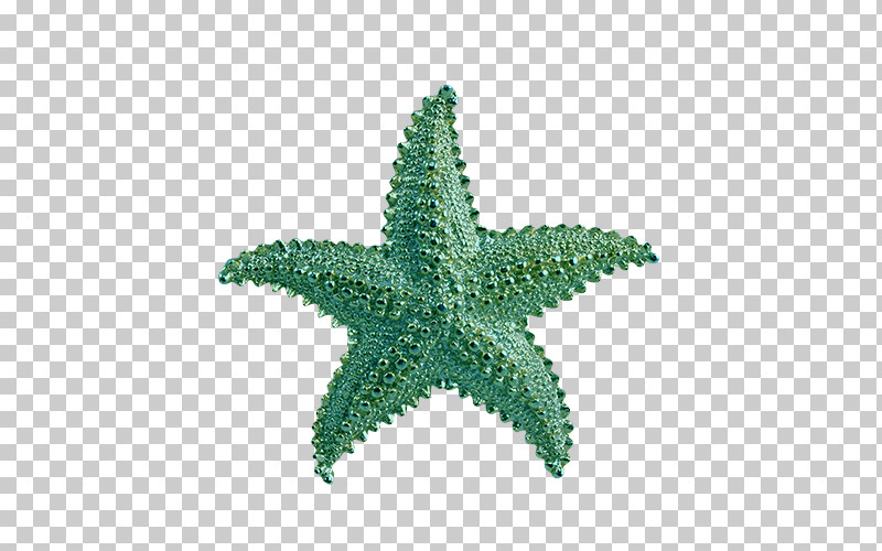 Machine Embroidery Starfish PNG, Clipart, Embroidery, Gold, Light, Machine Embroidery, Mirror Free PNG Download