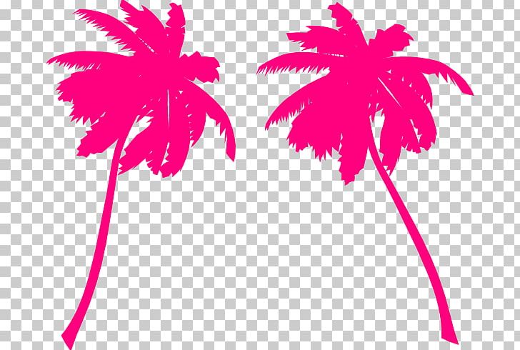 Arecaceae Sticker PNG, Clipart, Arecaceae, Arecales, Branch, Coconut, Document Free PNG Download