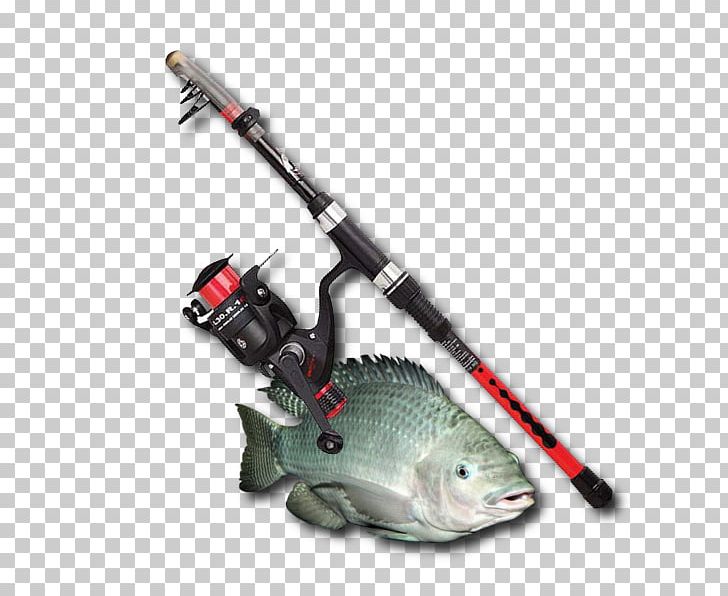 Fishing Salminus Brasiliensis Fish Hook Tilapia PNG, Clipart, Aalgeer, Fish, Fish Hook, Fishing, Fishing Reels Free PNG Download