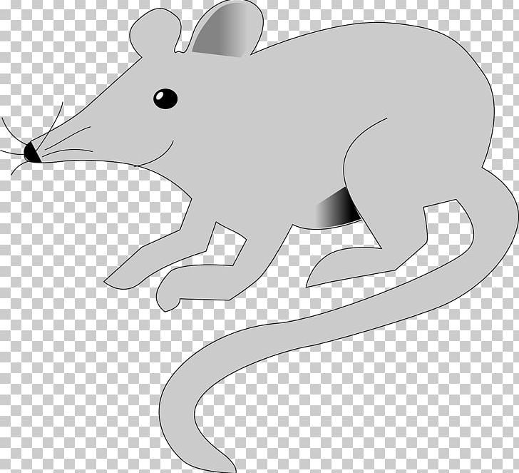 Rodent Mouse Insect Polynesian Rat Animal PNG, Clipart, Animal, Animals, Black And White, Carnivoran, Cleaning Free PNG Download