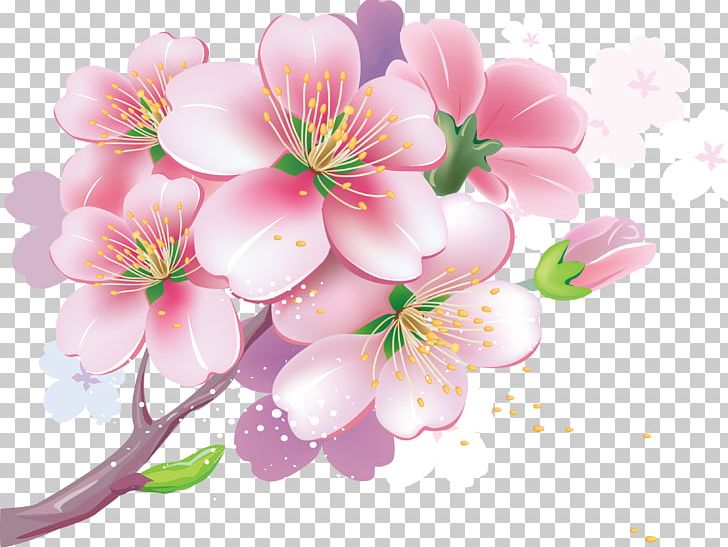 Cherry Blossom Photography PNG, Clipart, Blossom, Branch, Cherry Blossom, Encapsulated Postscript, Floral Design Free PNG Download