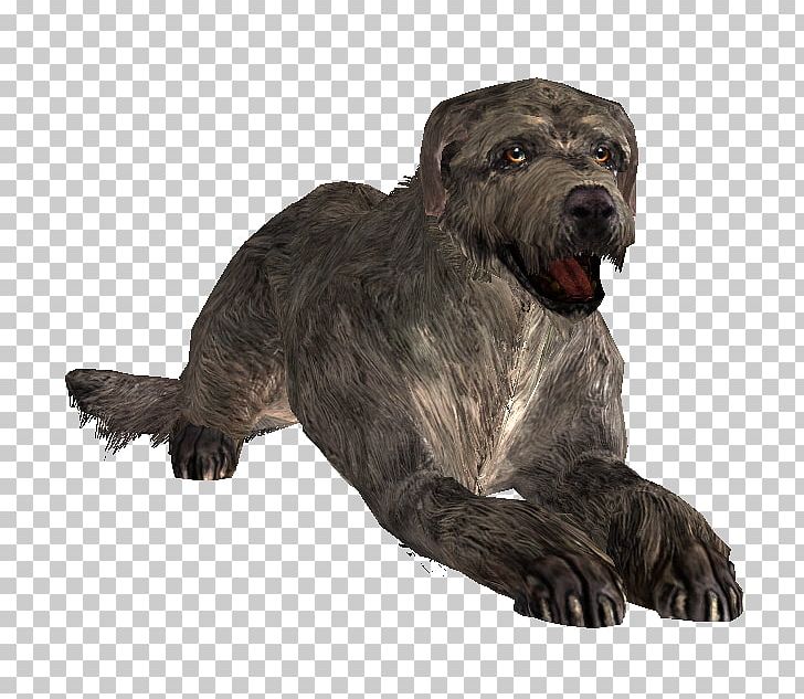 Dog Breed The Elder Scrolls V: Skyrim – Dragonborn Mod Wiki PNG, Clipart, Animals, Breed, Carnivoran, Dog, Dog Breed Free PNG Download