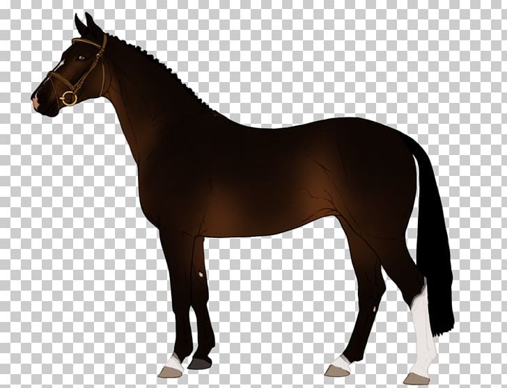 Drawing Stallion Arabian Horse Zazzle PNG, Clipart, Animal Figure, Arabian Horse, Art, Black Stallion, Bridle Free PNG Download