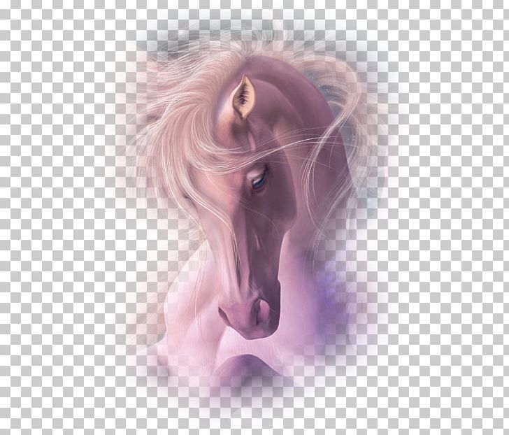 Horse Pony Animation PNG, Clipart, Animals, Animation, Bello, Blingee, Desktop Wallpaper Free PNG Download