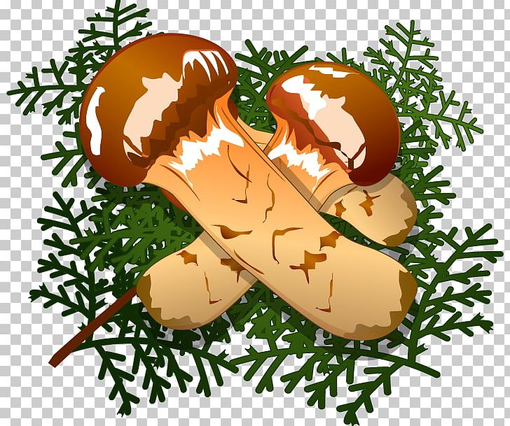 Illustration Matsutake PNG, Clipart, Food, Grass, Matsutake, Tree Free PNG Download