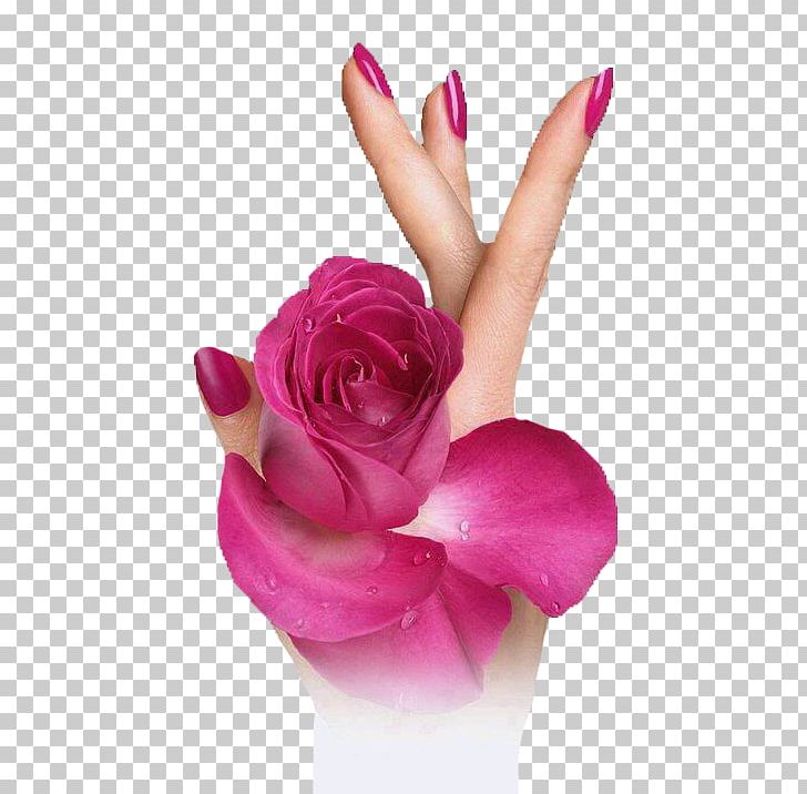 Night Morning YouTube Animation PNG, Clipart, 16 Gb, Animation, Clothing, Cut Flowers, Day Free PNG Download