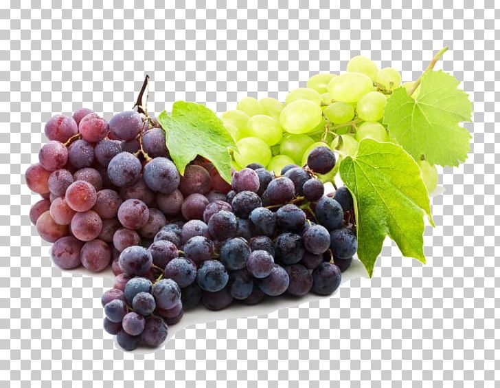 Niagara Grape Juice Common Grape Vine Concord Grape PNG, Clipart, Apple, Blueberry, Common Grape Vine, Concord Grape, Food Free PNG Download