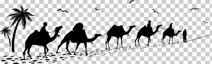 Bactrian Camel Caravan Camel Train PNG, Clipart, Animals, Bactrian Camel, Black, Black And White, Camel Free PNG Download