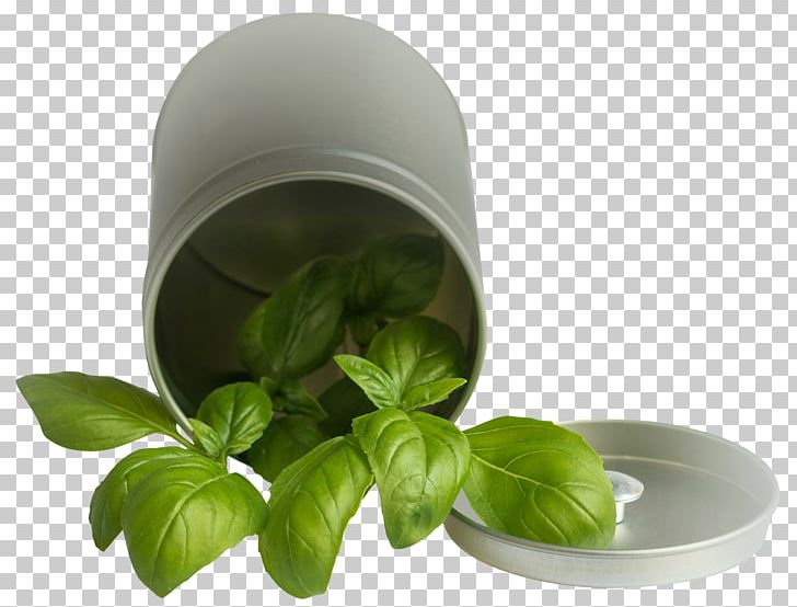 Basil PNG, Clipart, Basil, Can, Essential Oil, Estragole, Herb Free PNG Download