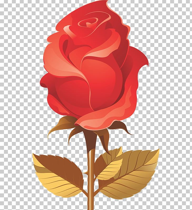 Garden Roses Beach Rose Black Rose PNG, Clipart, Art, Beach Rose, Black Rose, Cicek, Cicek Gifleri Free PNG Download