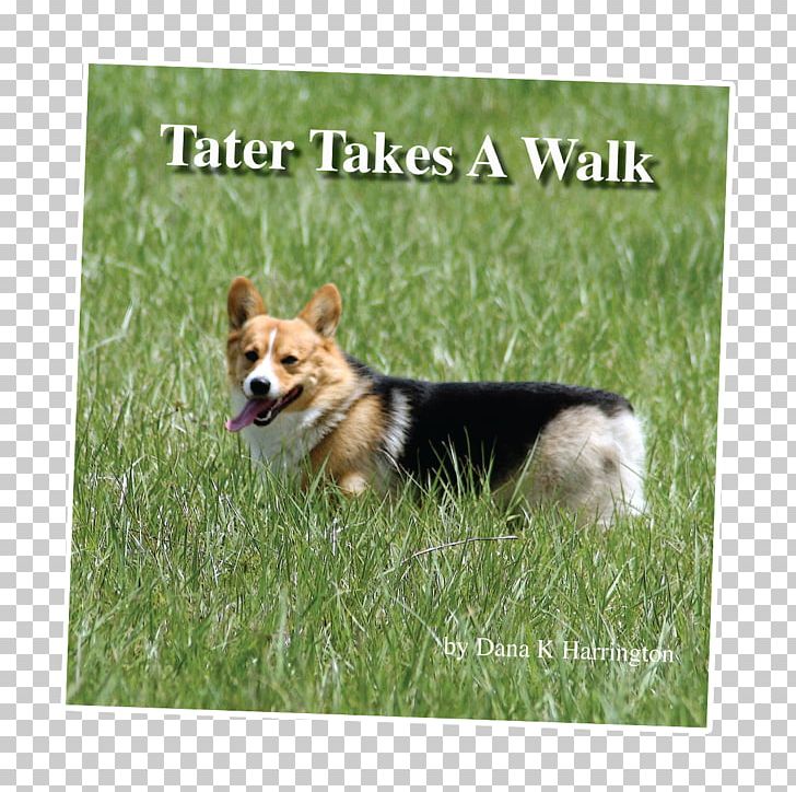 Pembroke Welsh Corgi Cardigan Welsh Corgi Dog Breed Puppy Book PNG, Clipart, Book, Bookselling, Breed, Cardigan Welsh Corgi, Carnivoran Free PNG Download