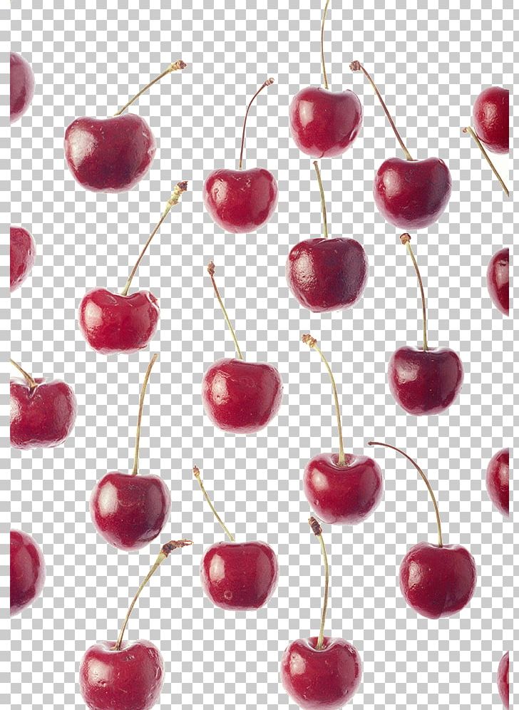 Cherry Nectarine Fruit Auglis PNG, Clipart, Apple Fruit, Auglis, Berry, Cherry, Cherry Vector Free PNG Download