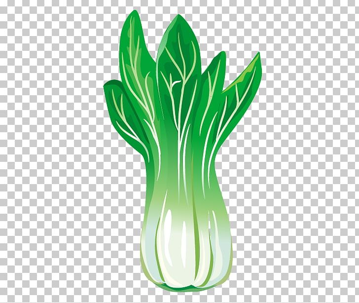 Chinese Cabbage Leaf Vegetable PNG, Clipart, Brassica, Brassica Oleracea, Cabbage, Cabbage Family, Cabbage Vector Free PNG Download