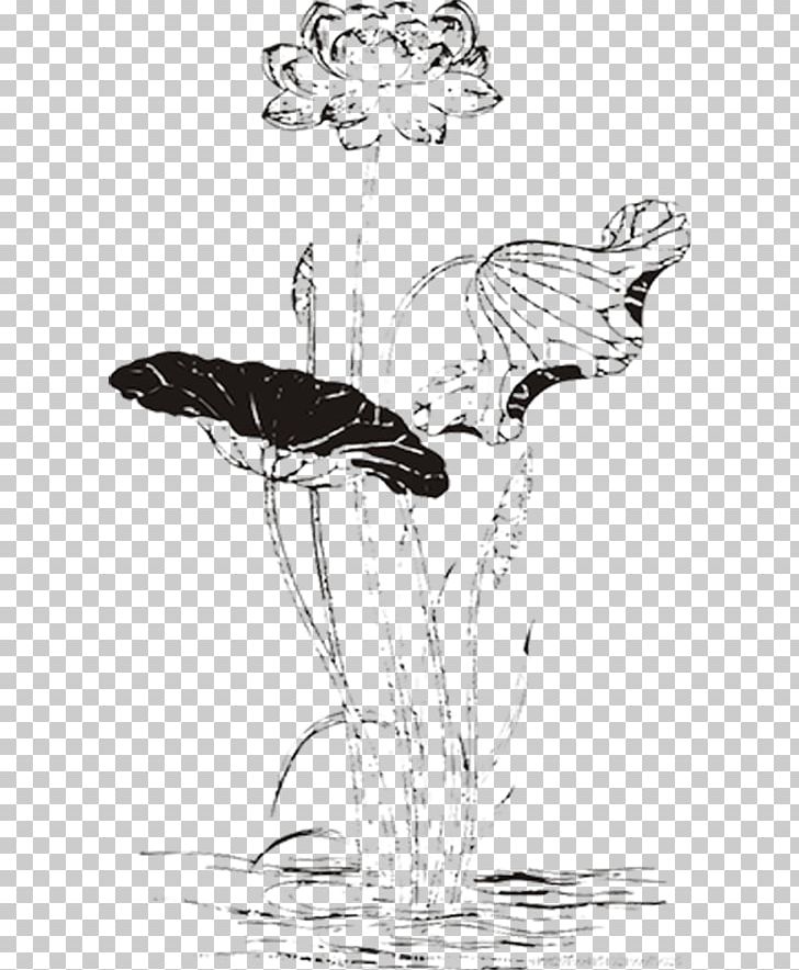 Nelumbo Nucifera Drawing Ink Wash Painting PNG, Clipart, Art, Artwork, Bird, Black, Black And White Free PNG Download