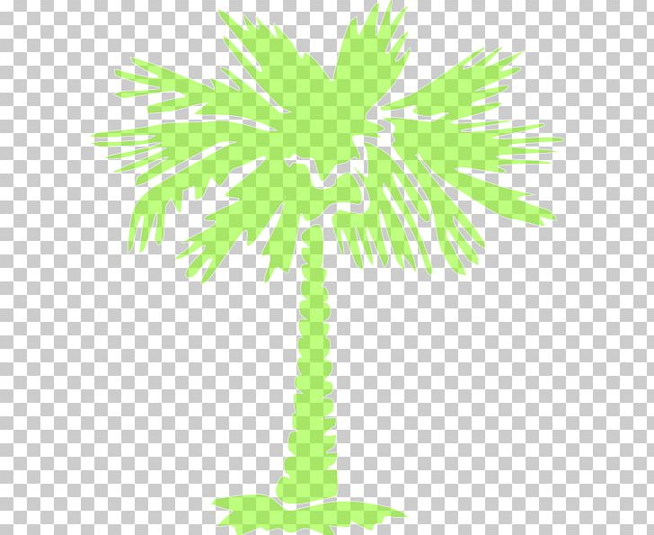 Arecaceae Plant Stem Europe PNG, Clipart, American Bully, Area, Arecaceae, Arecales, Branch Free PNG Download