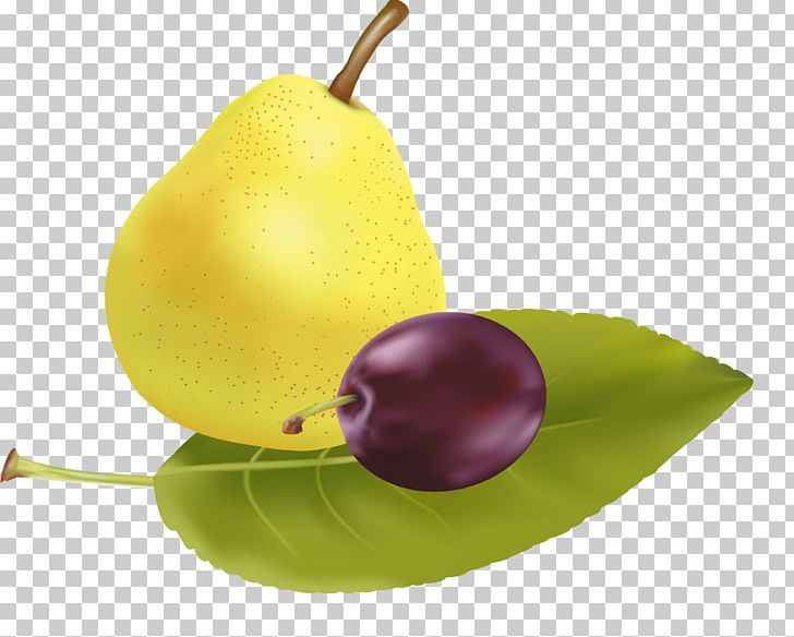 Pear Laiyang Gratis Fruit PNG, Clipart, Concepteur, Decorative Elements, Design Element, Download, Elements Free PNG Download