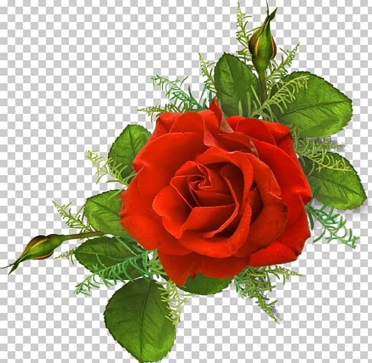 Rose Pink Illustration Red PNG, Clipart, Cut Flowers, Floral Design, Floribunda, Floristry, Flower Free PNG Download