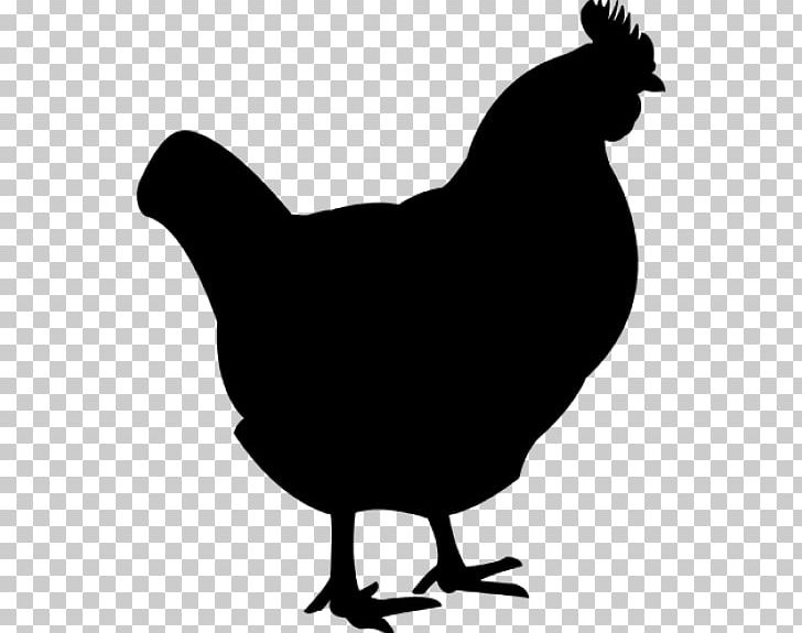 Silkie Plymouth Rock Chicken Fried Chicken Chicken As Food Buffalo Wing PNG, Clipart, Beak, Bird, Black And White, Buffalo Wing, Chicken Free PNG Download