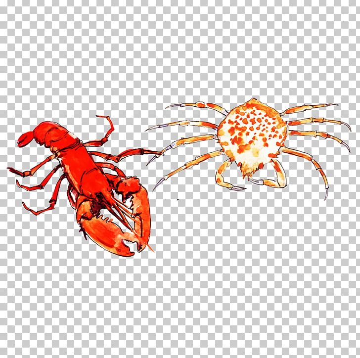 Crab Lobster Seafood Palinurus Elephas PNG, Clipart, Animals, Animal Source Foods, Arthropod, Cooking, Crustacean Free PNG Download