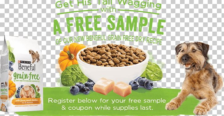 Dog Food Dog Breed Puppy Beneful PNG, Clipart, Animals, Beneful, Cereal, Dog, Dog Breed Free PNG Download