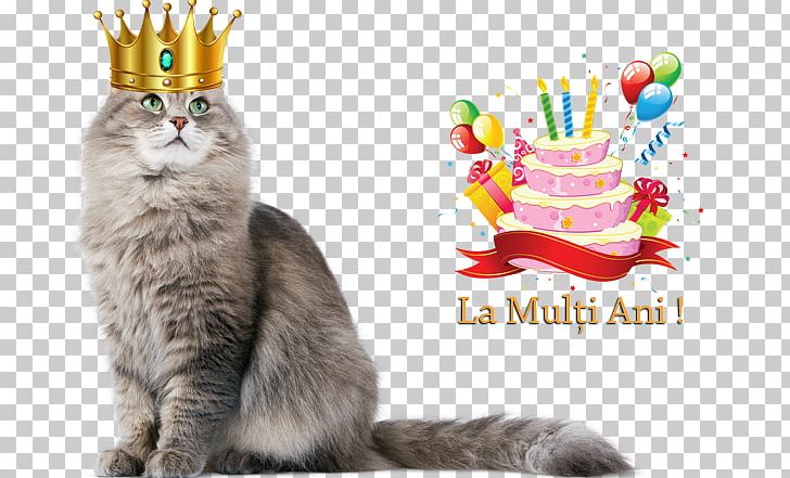Dragon Li Kitten Siberian Cat Cat Food PNG, Clipart, Animals, Big Cat, Cat, Cat Food, Cat Like Mammal Free PNG Download