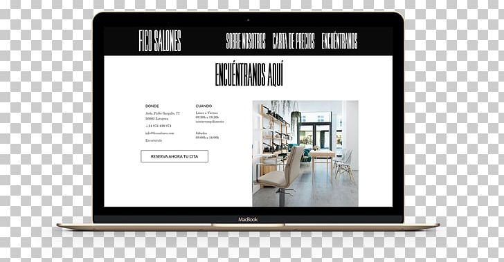 Multimedia FICO SALONES Web Page PNG, Clipart, Beauty Parlour, Blog, Brand, Corporate Identity, Display Advertising Free PNG Download